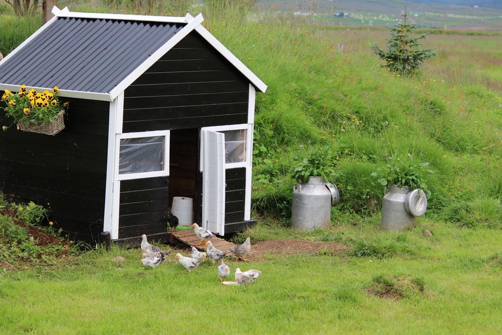 Lambanes-Reykir Holiday Home Barth Room photo